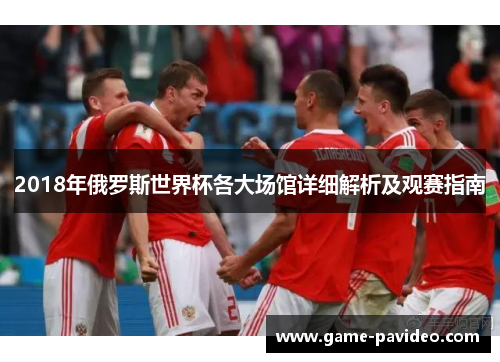 2018年俄罗斯世界杯各大场馆详细解析及观赛指南 2018年俄罗斯世界杯各大场馆详细解析及观赛指南